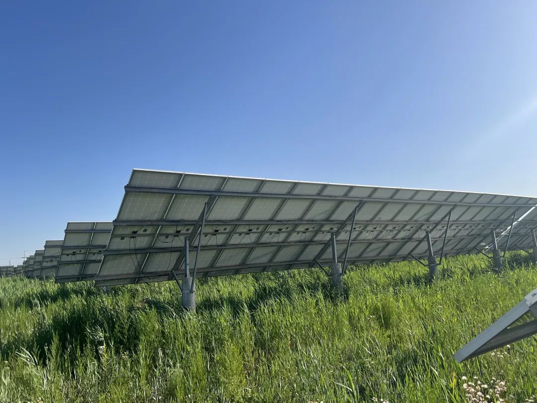 ผู้พิทักษ์ความปลอดภัย BIPV - ตัวป้องกันส่วนโค้งซีรีส์ Fonrich Millisecond(pic3)