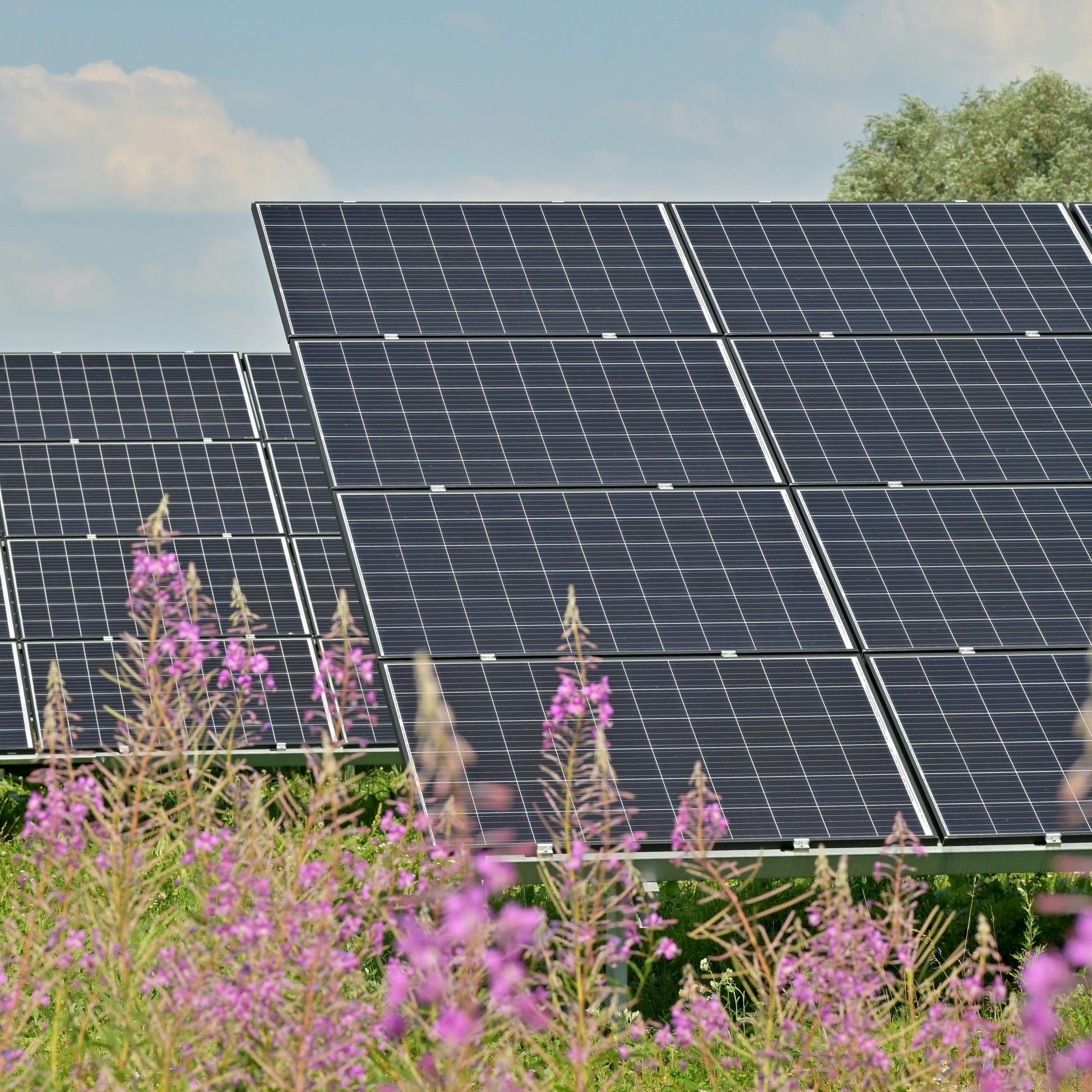 เหตุใด RSD ระดับโมดูลจึงมีความสำคัญต่อการติดตั้งพลังงานแสงอาทิตย์ของไทย